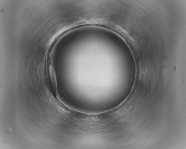 X0000089361174200706151126