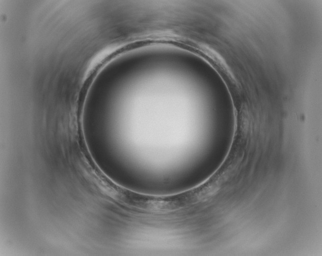 X0000089361176200706151126
