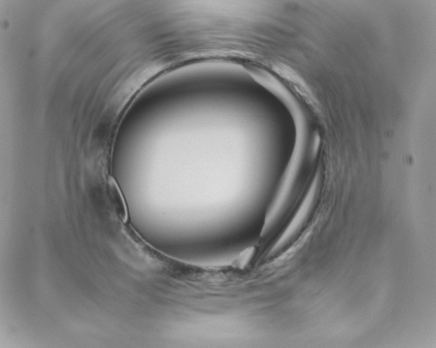 X0000089361177200706151126