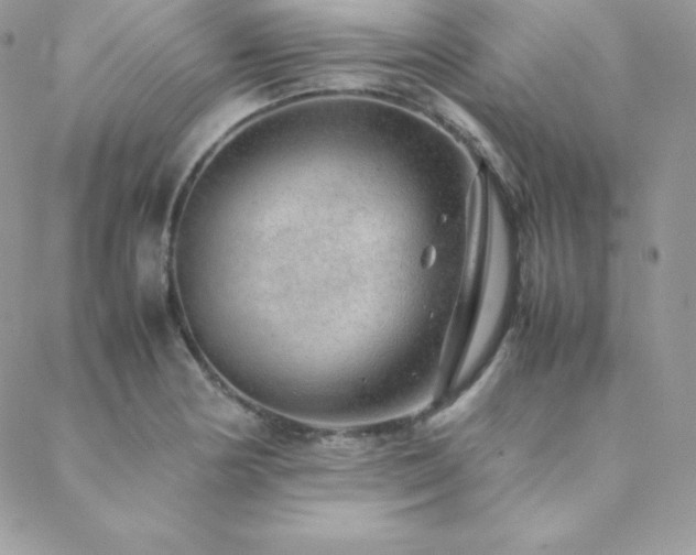 X0000089361178200706151126