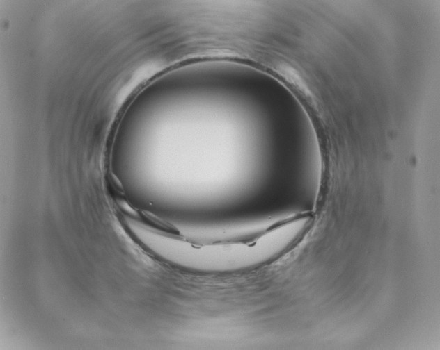 X0000089361181200706151126