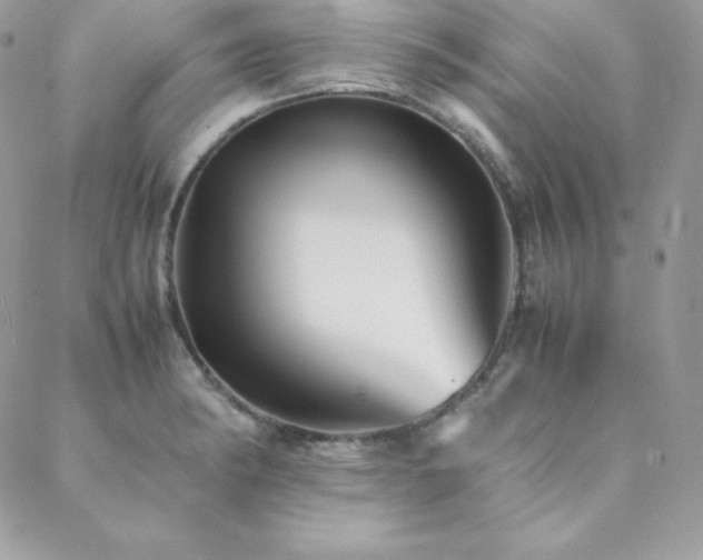 X0000089361182200706151126