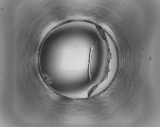 X0000089361183200706151126