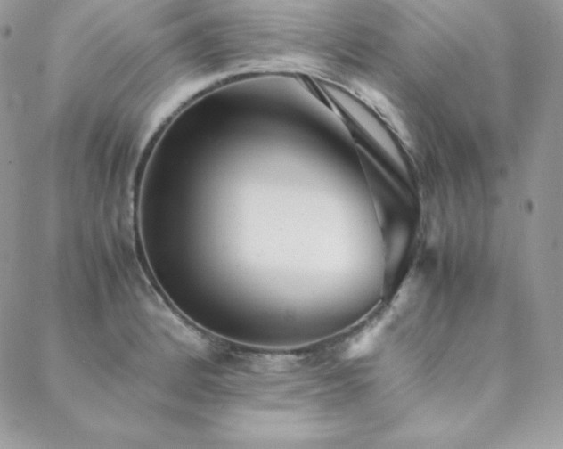 X0000089361184200706151126