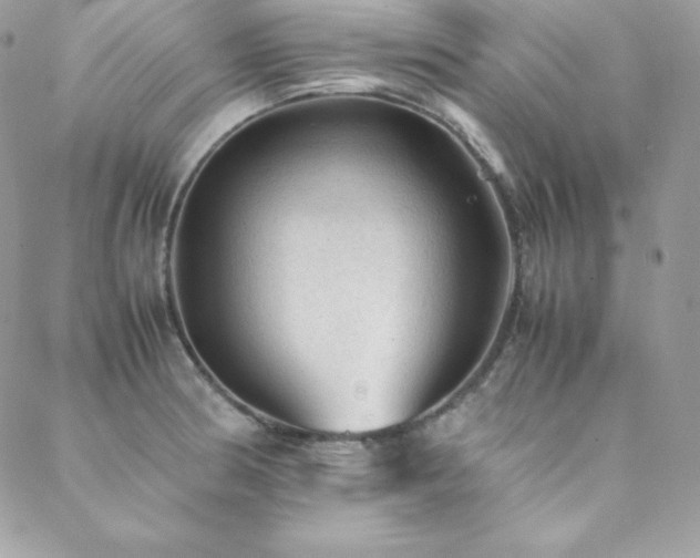 X0000089361186200706151126