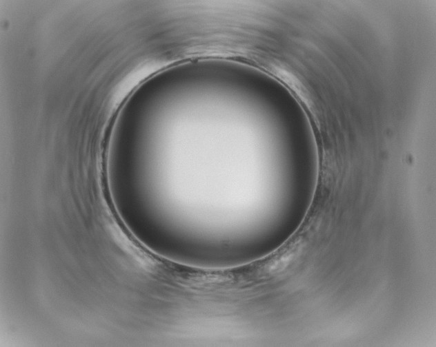 X0000089361187200706151126
