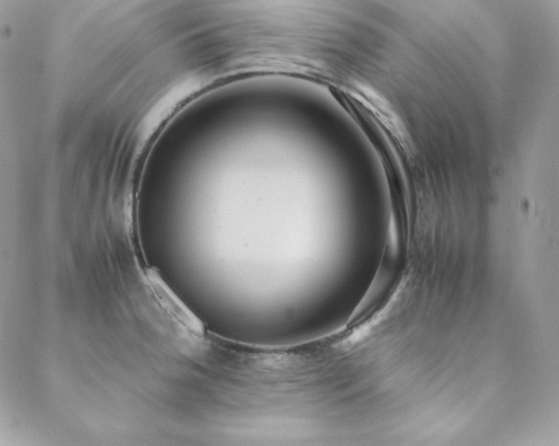 X0000089361188200706151126