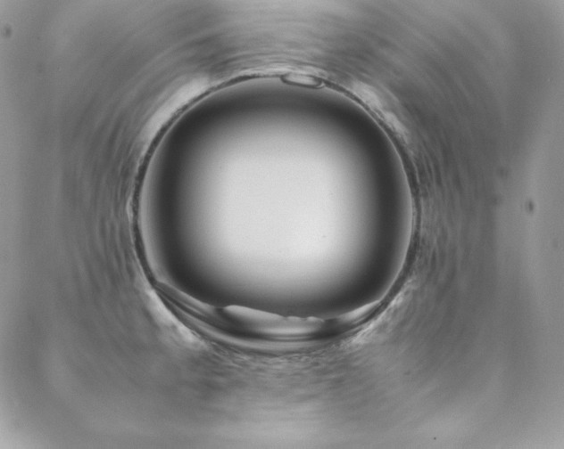 X0000089361189200706151126