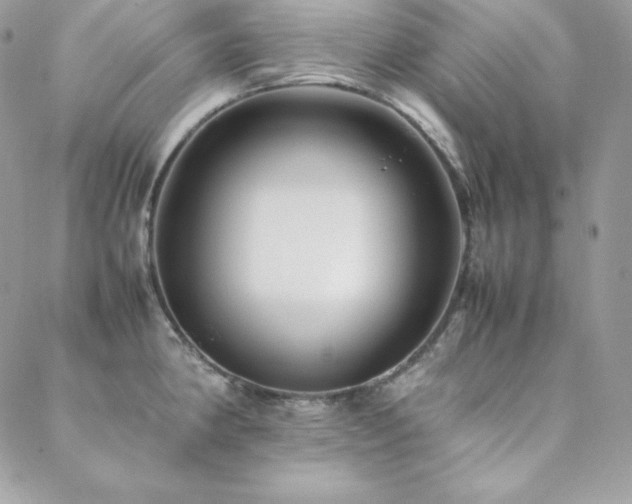 X0000089361190200706151126