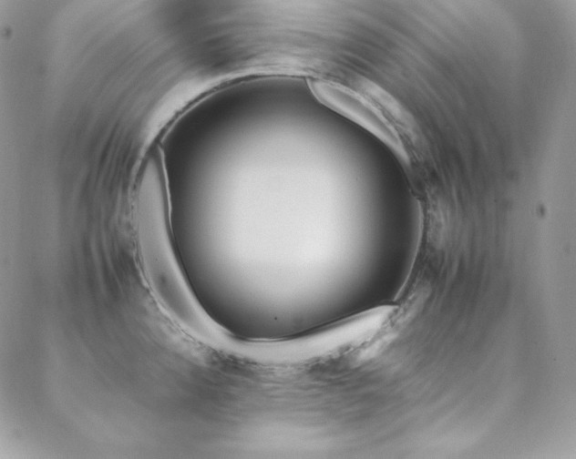 X0000089361192200706151126