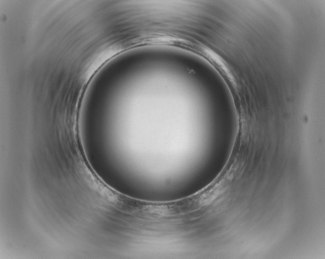 X0000089361194200706151126