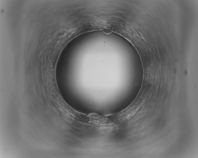 X0000089361201200706151125