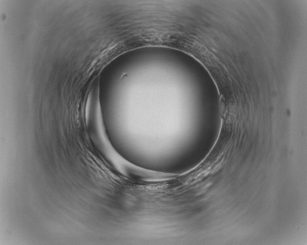 X0000089361202200706151125