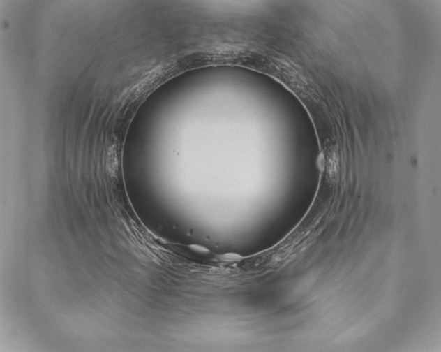 X0000089361204200706151125