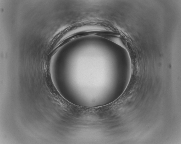 X0000089361206200706151125