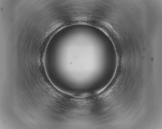 X0000089361209200706151125