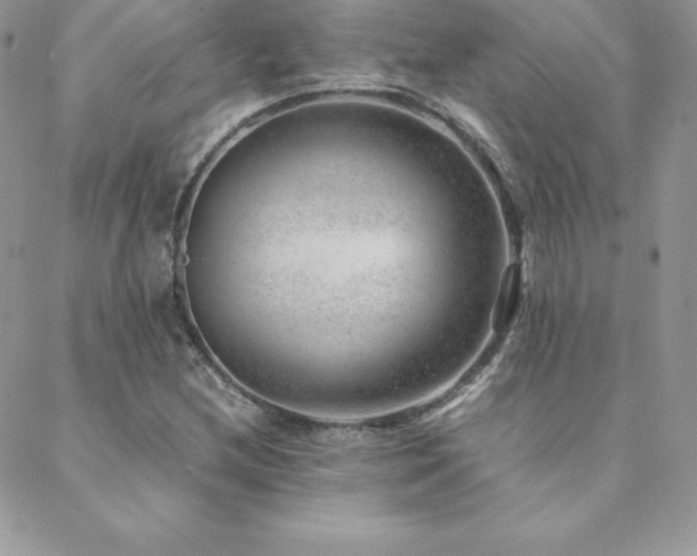 X0000089361212200706151125