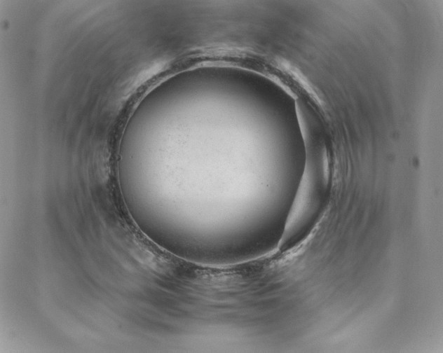 X0000089361213200706151125