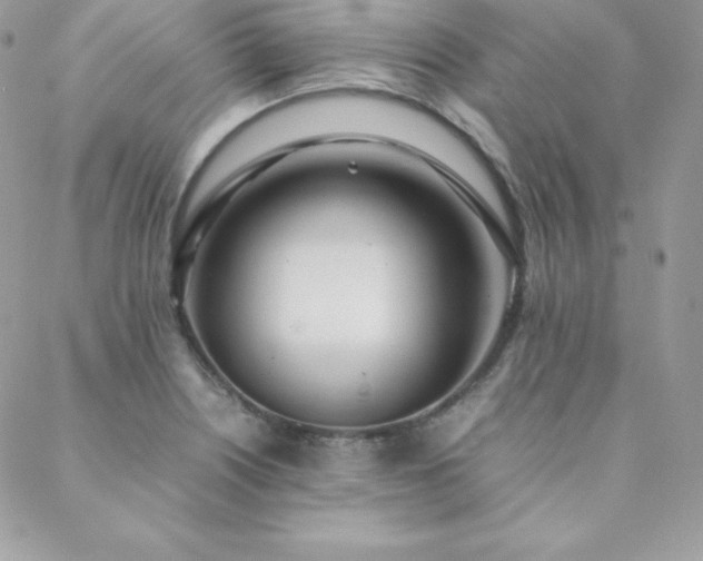 X0000089361226200706151125