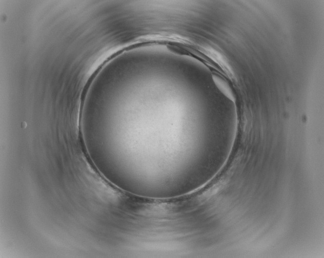 X0000089361228200706151125