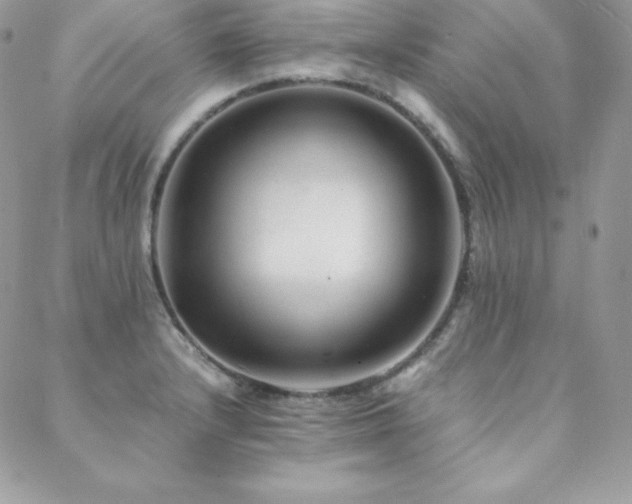 X0000089361232200706151125