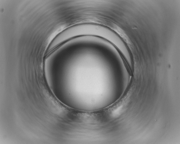 X0000089361234200706151125