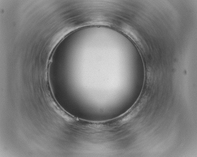 X0000089361236200706151125