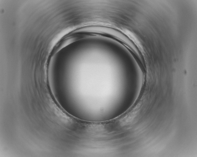 X0000089361238200706151125