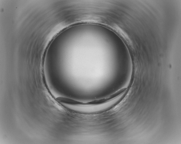 X0000089361240200706151125