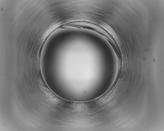 X0000089361242200706151125