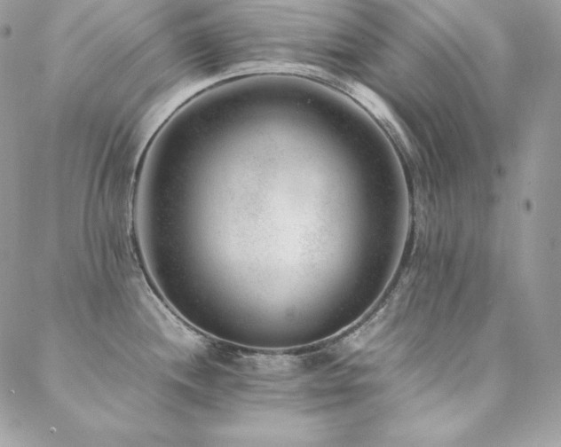 X0000089361244200706151125