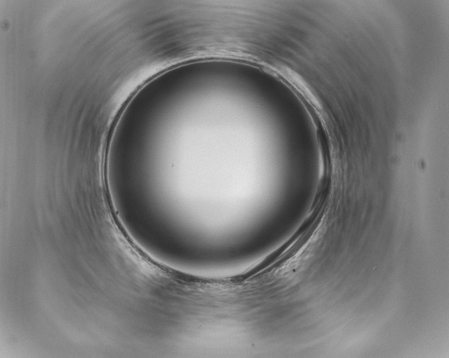 X0000089361246200706151125