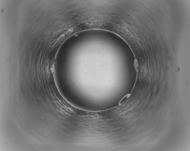 X0000089361250200706151125