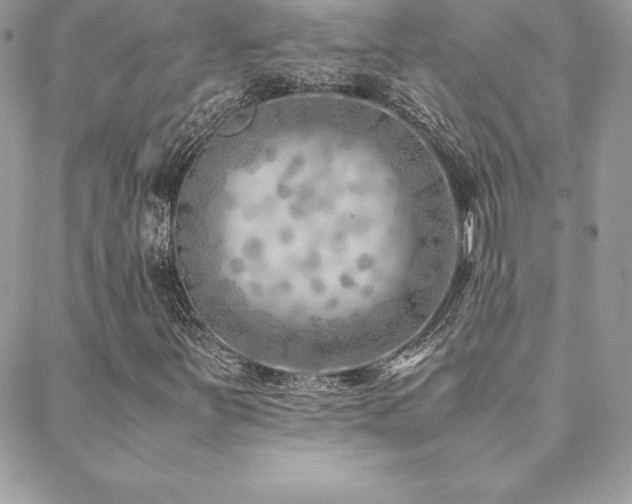 X0000089361251200706151125