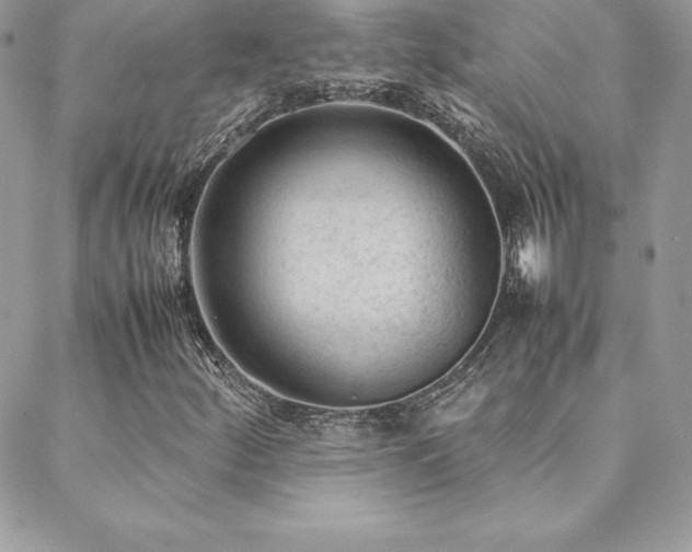 X0000089361252200706151125