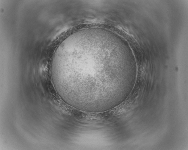 X0000089361254200706151125
