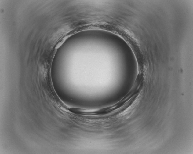 X0000089361257200706151125