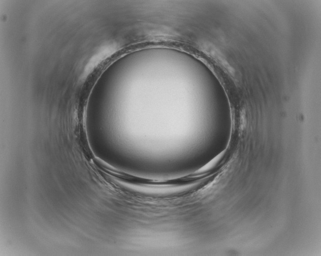 X0000089361261200706151125