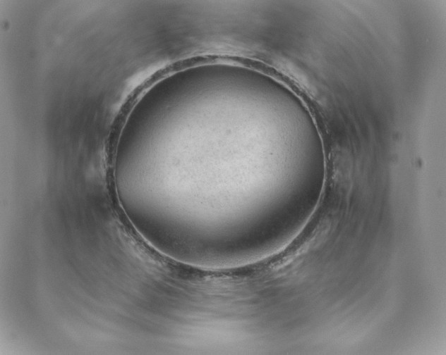 X0000089361264200706151125