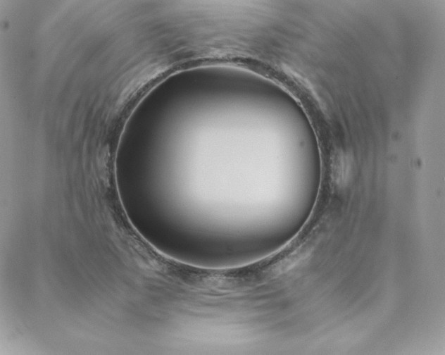 X0000089361265200706151125