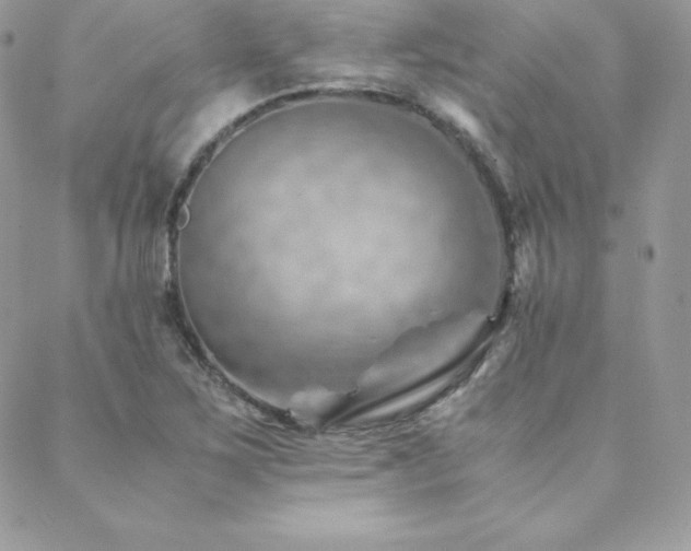 X0000089361267200706151124