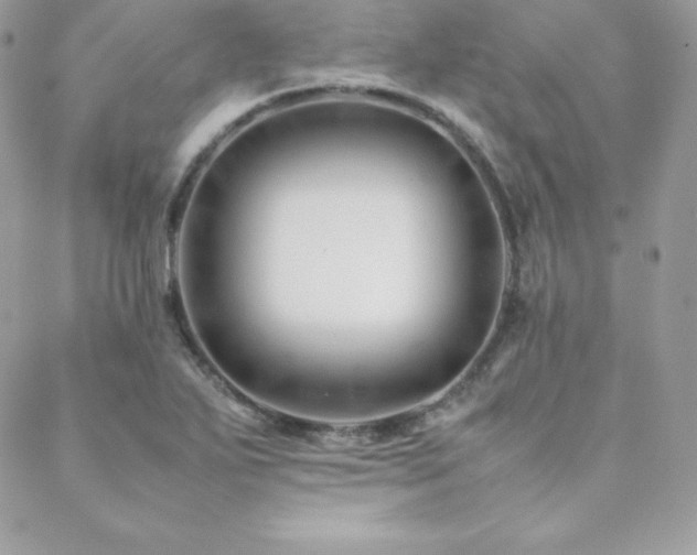 X0000089361271200706151124