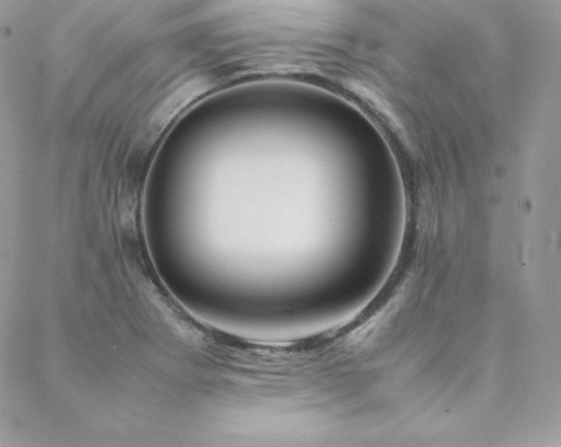 X0000089361273200706151124