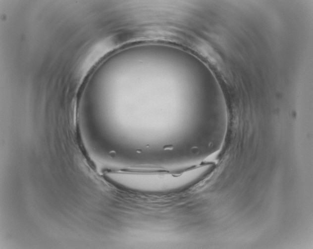 X0000089361275200706151124