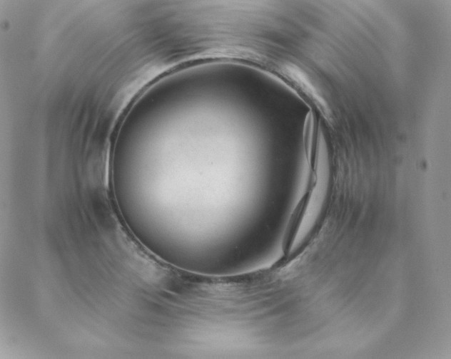 X0000089361276200706151124