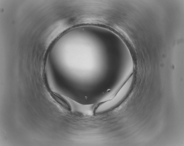X0000089361277200706151124