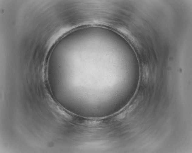 X0000089361278200706151124