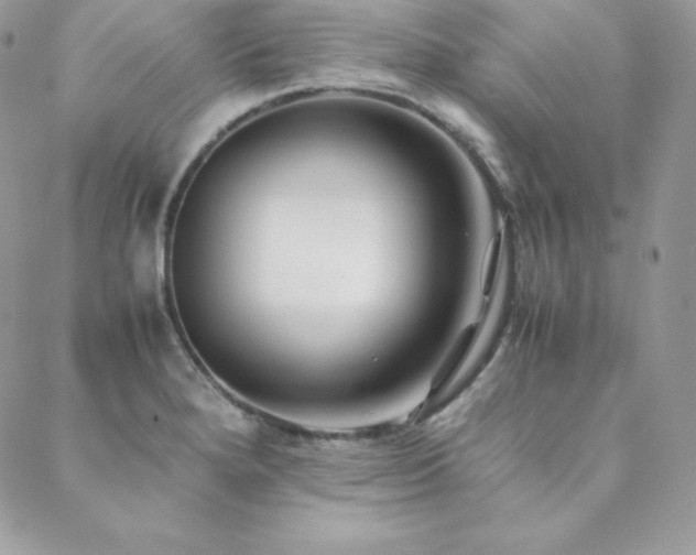 X0000089361280200706151124