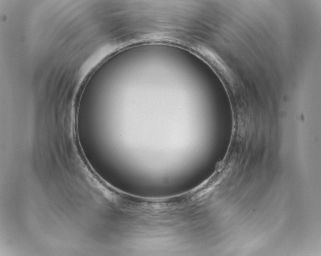 X0000089361286200706151124