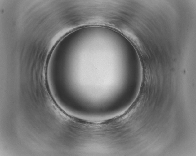 X0000089361288200706151124